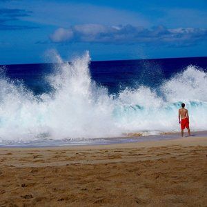 Meet your Posher, Matt